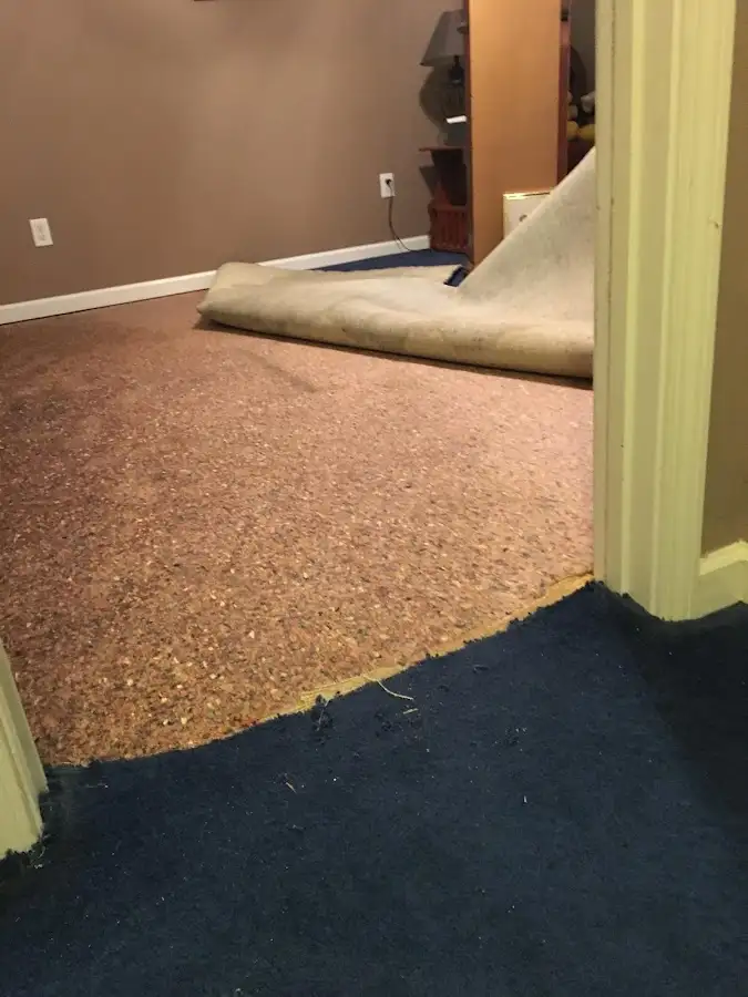 Carpet pad removal revealing water damage during Drying & Dehumidification in Swanzey