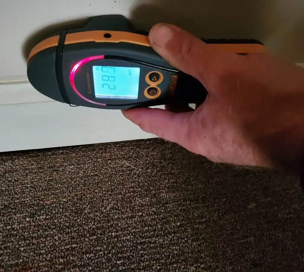 Moisture detection at baseboard during Mold Inspection & Testing in Swanzey